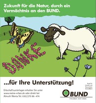 Schaf