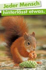 Eichhörnchen