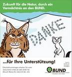 Katze